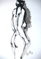 She by Enrique Terr&eacute; Tequila