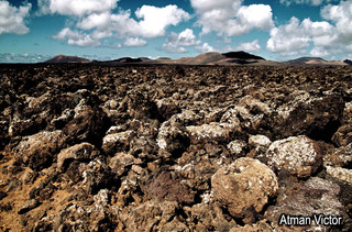 Lava stone field by Atman Victor