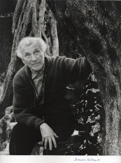Portrait of Marc Chagall by Denise colombe