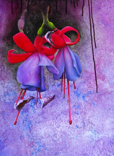 Fuchsia by Leopoldina Valdemoro Jurado