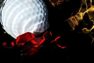 Red, gold and golf II by Brandan