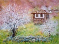 Rhodopes Houses by Elena Yotsova