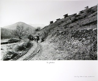 Los palombares by Casimiro Martinferre