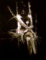 Desnudo femenino by Antonio Robles MIRELIS