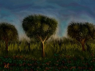 Trees and Landscape by RAFI TALBY
