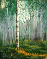 Birch Forest by Elena Yotsova