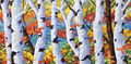 Original large Birches oil painting The Pool after Prankearts by Richard T Pranke