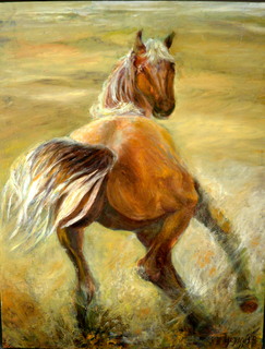 Horse in field by Sylva Zalmanson