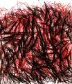 Untitled OF-X6 by Oleg Frolov