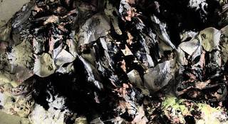 Untitled OF-50 by Oleg Frolov