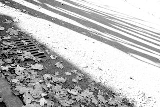 Gorgeous angles by May - Jun