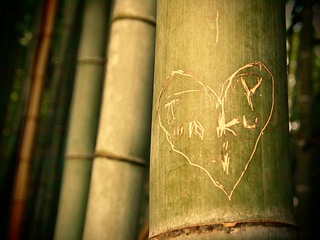 Serie Japan'10-11: Coeur en bambou by Sonia A. Alzola