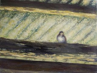 sparrow by Rosario de Mattos