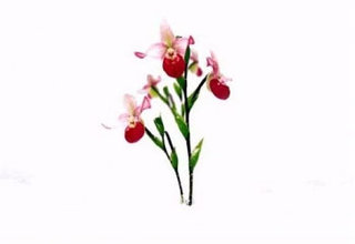 Winter Garden III by Marc Quinn