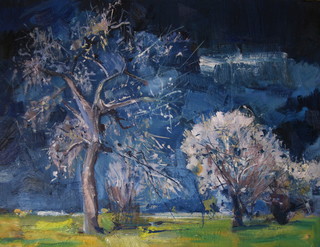 LLUM DE LLUNA by Imma Banet Illa