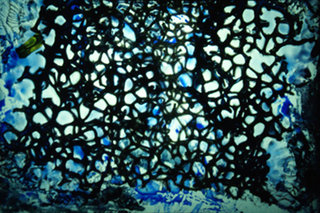 Blue porosity by Esther Santiago Garc&iacute;a