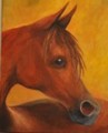 Arabian Yearling by Rita Meyerhoff