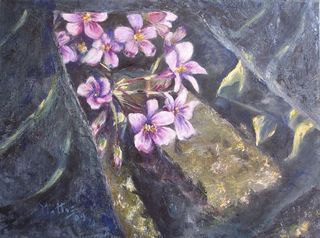 Flower Macach&iacute;n by Rosario de Mattos