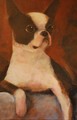 Boston Terrier I by Rita Meyerhoff