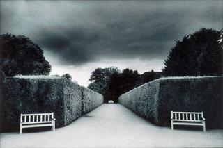 Seat and Hedges, England by Paul Windsor