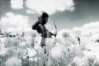 Cupid, England by Paul Windsor