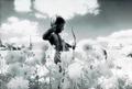 Cupid, England by Paul Windsor