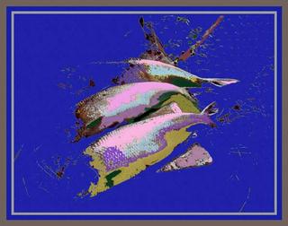 Three Fish by Bruce Pinkard