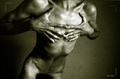 Torso by Jeremy Webb