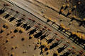 Caravan in Kerman Province, Iran by Georg Gerster