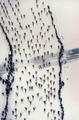 Ski Marathon, Switzerland by Georg Gerster