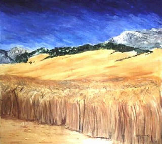 Ripe Wheat by Ginette Ashkenazy