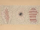 Untitled (Triptych) by Luis Gordillo
