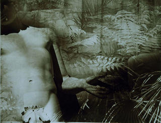 Myth 1. Apollo by Maggy Milner