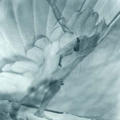 Icarus 1 by Maggy Milner