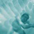Icarus 2 by Maggy Milner