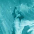 Icarus 3 by Maggy Milner