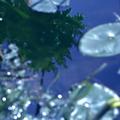 Sky, Water, Light 2 by Maggy Milner