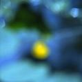 Sky, Water, Light 3 by Maggy Milner
