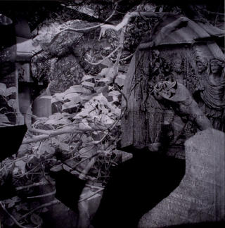 Chaos de Maggy Milner