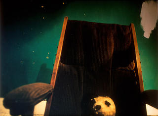 Skeleton in the Cupboard 1 by Miranda Walker