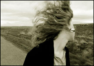 Windswept by Jeremy Webb