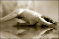 Prone 1 by Jeremy Webb