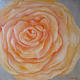 Moulin Rose Orange de Agata Rogalska
