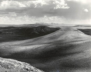 Rolling Desert by Larry Friedman
