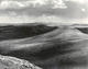Rolling Desert by Larry Friedman