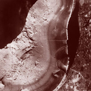 Flint and Marble by Peter Davie
