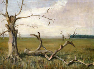 Death of the Elms by Marianne Thune Haycock