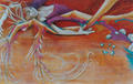 Dragon Wings, Dragon Series by Cassandra Gordon-Harris