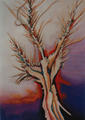 Trinity, Dragon Series by Cassandra Gordon-Harris