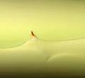 Tenderness I by Tomy Ceballos